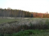 Финский пейзаж